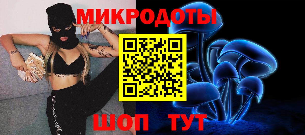 Галлюциногенные грибы Cubensis Полевской