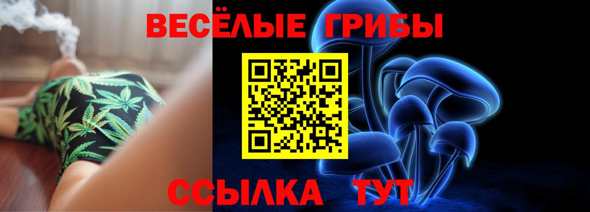 Полевской  Псилоцибиновые грибы прущие грибы  Вход с VPN 